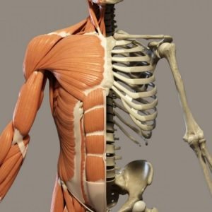 articolazioni-e-ossa-integratori-shop