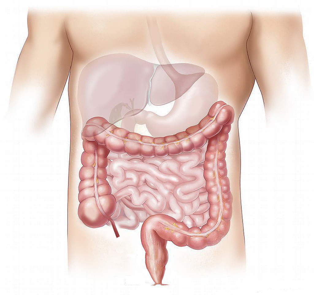 benessere intestinale